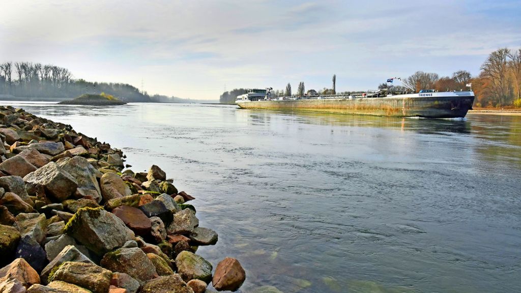 Niedrigwasser am Rhein: Frachtschiffe liegen seit Wochen fest