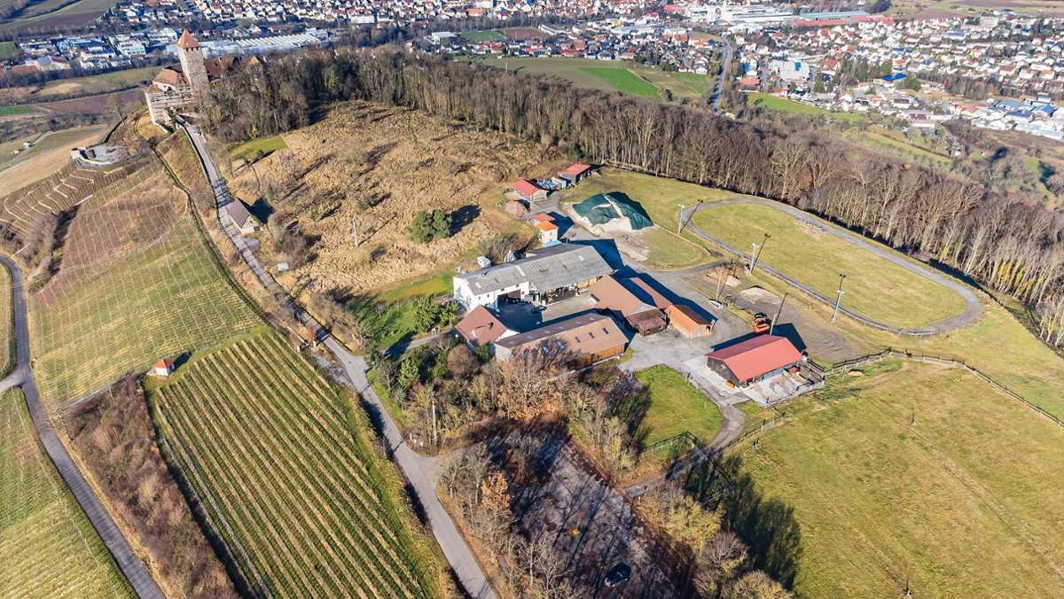 Ärger an der Burg  Lichtenberg: Platzt der Biergarten-Plan wegen eines  Hühnerhofs?