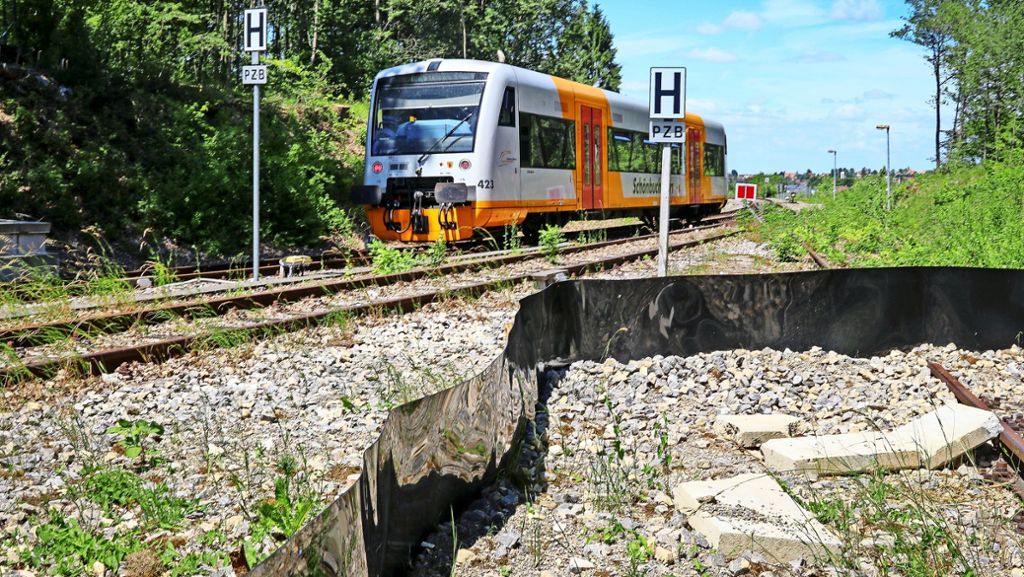 Verkehr: Ausbauarbeiten sollen Ende Juli weitergehen: Zauneidechsen bremsen Schönbuchbahn aus