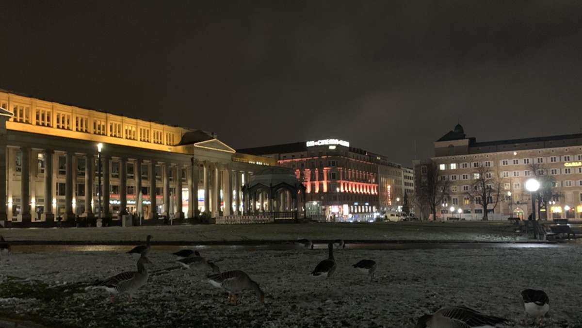 Verschmutzung am Schlossplatz: Wildvögel erobern wegen Corona Parkflächen in Stuttgart