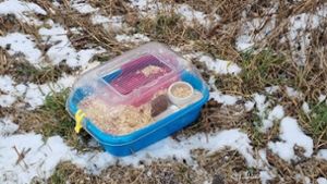 Erfroren! Hamster im Industriegebiet ausgesetzt