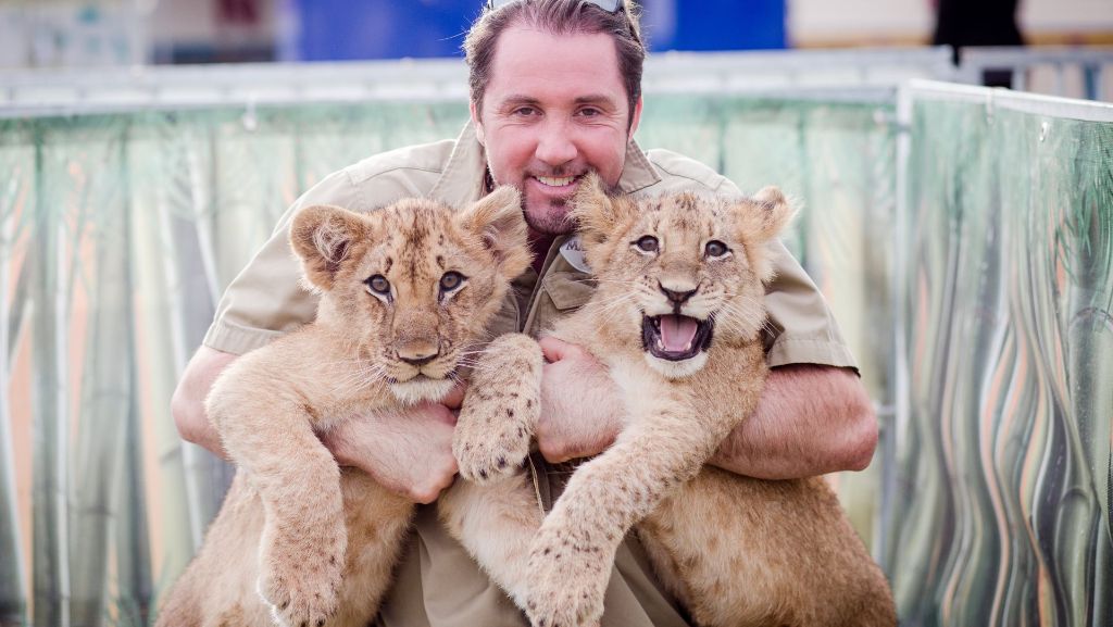 Circus Krone: Löwennachwuchs im Zirkus