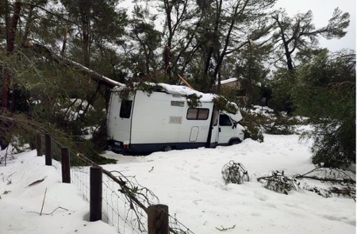 Ein Wohnmobil ist von einem durch Schnee eingestürzten Baum im Gebiet des Gebirgszug Serra de Tramuntana auf Mallorca eingeklemmt. Foto: dpa