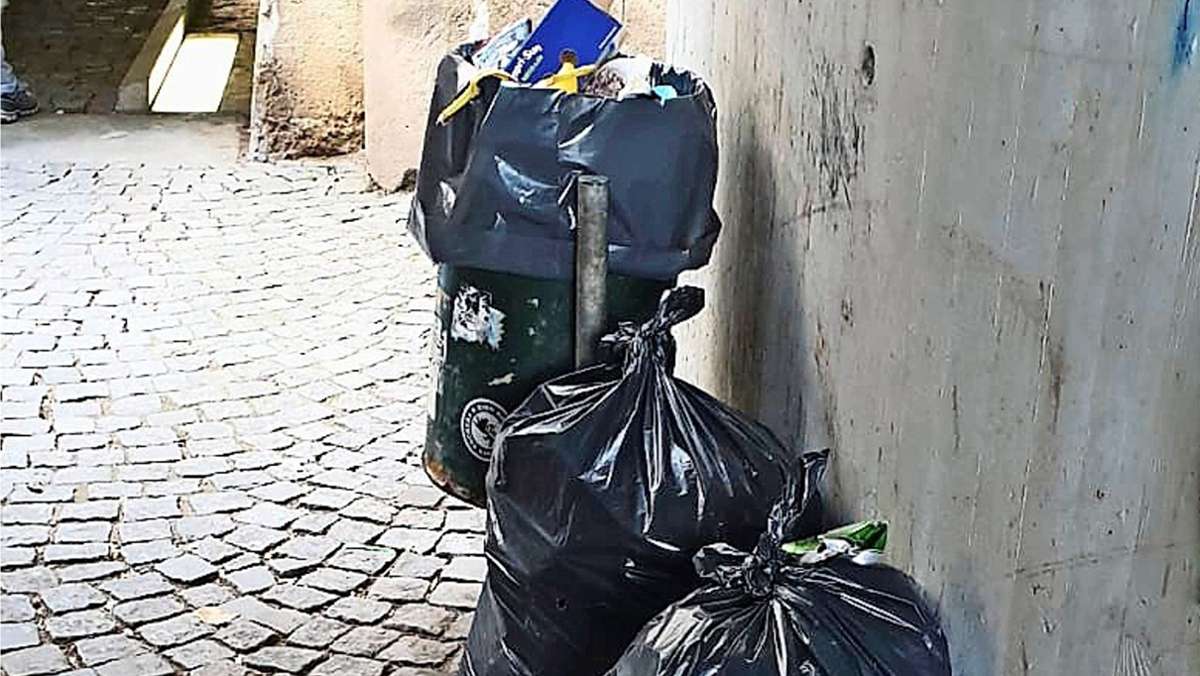 Illegale Müllentsorgung in Plochingen: Hausmüll auf der Straße, Verpackungen im Grünen