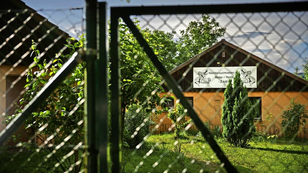 Kleintierzüchter in Schorndorf-Weiler: Ein Verein verschwindet von der Bildfläche