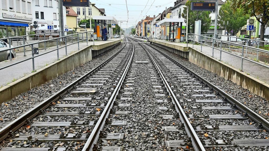 Stadtbahntrasse in Stuttgart-Wangen: Magerwiese statt Schotter im Gleisbett