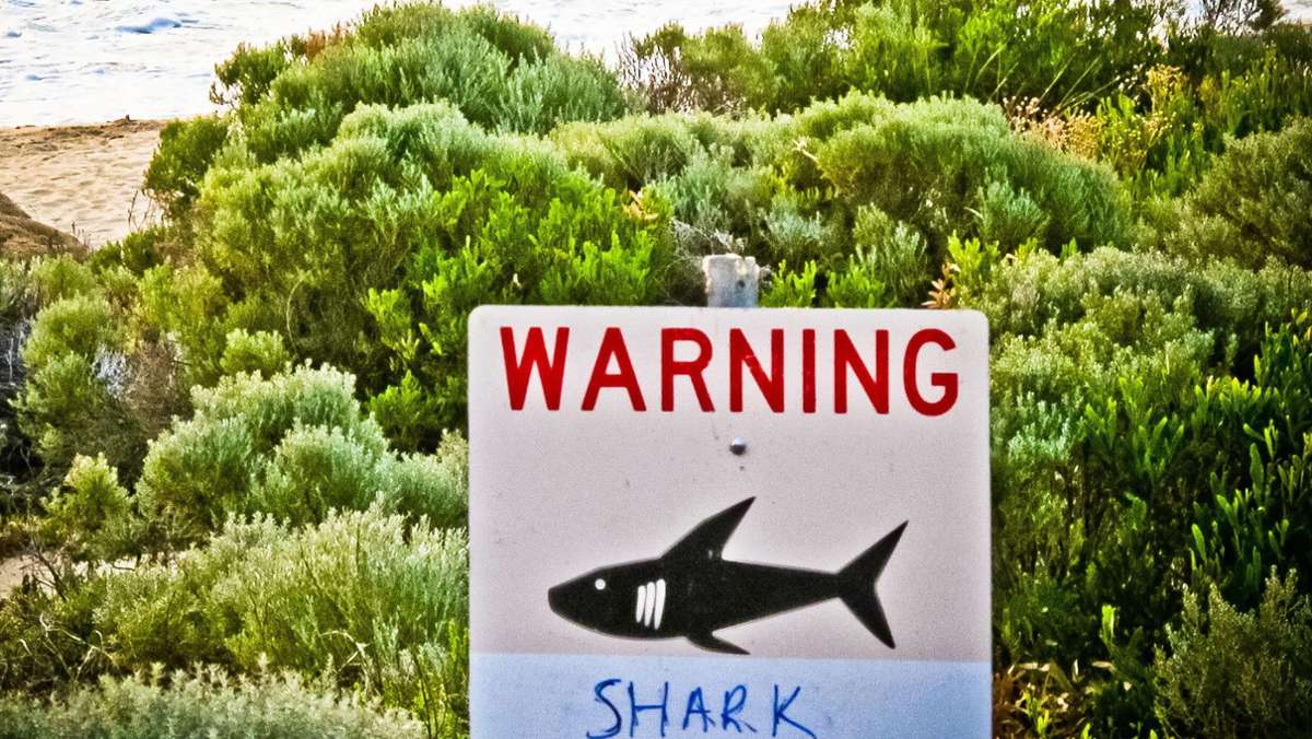  Immer wieder, wenn auch selten, kommt es zu Hai-Attacken auf Menschen. Vor der Küste der australischen Metropole Sydney ist es zum ersten tödlichen Angriff auf einen Menschen in diesem Jahr gekommen. 