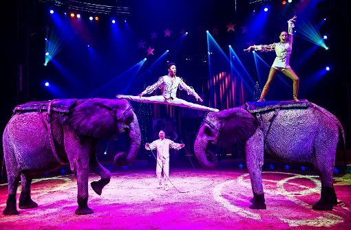 Keine Wildtiere mehr im Zirkus