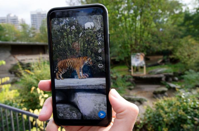 Kölner Zoo zeigt Tiere mit Augmented Reality