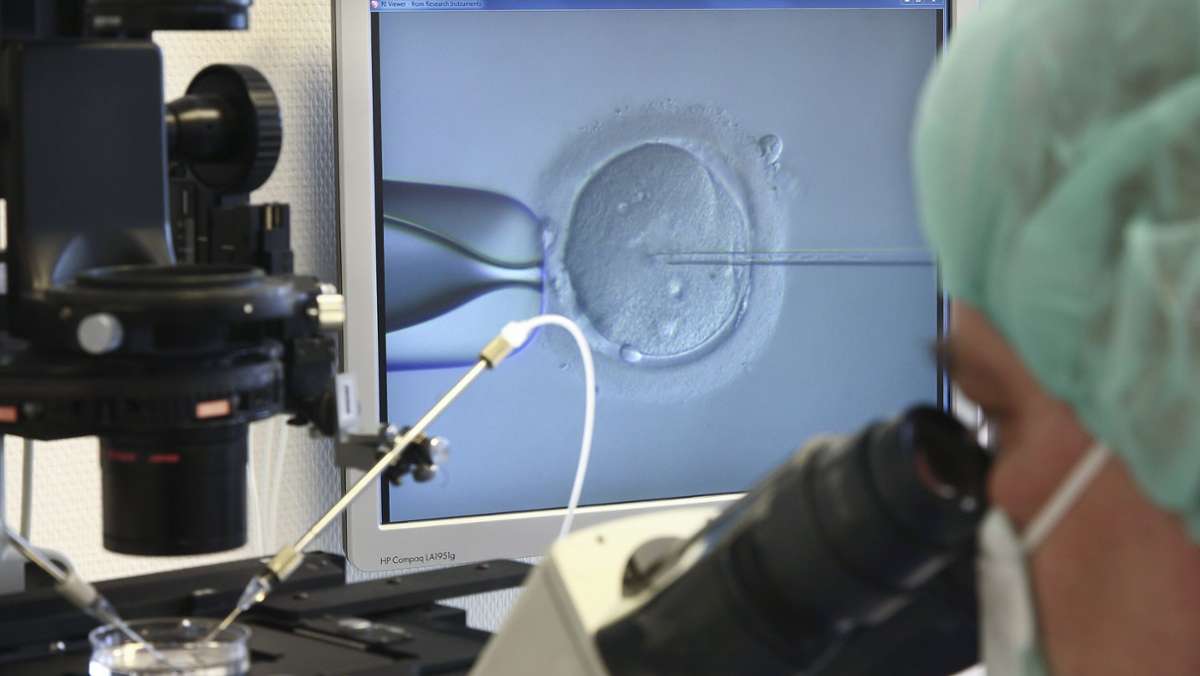 Genforschung: Klonen menschlicher Embryonen - Schutz bröckelt