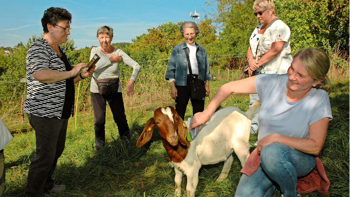 Tiergestützte Therapie in Esslingen: Mit den Ziegen auf Du und Du
