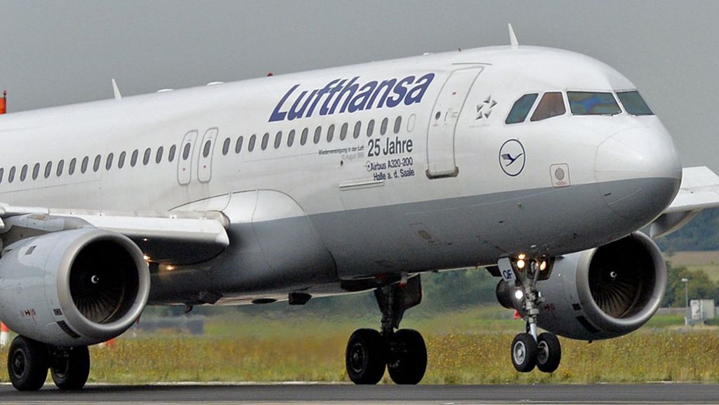 Valentinstag: Lufthansa fliegt rund 20 Millionen Rosen nach Europa