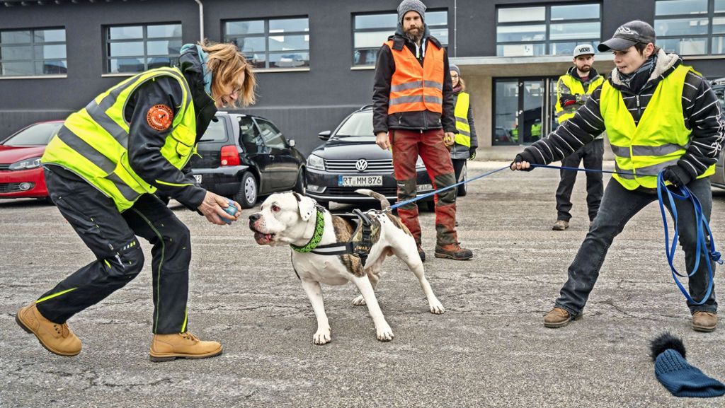 Hundesport in Ludwigsburg: Immer der Nase nach