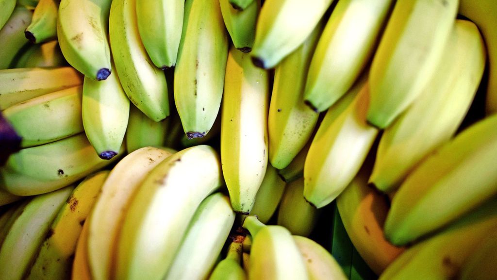 Kinderwissen: Angst umdie Banane