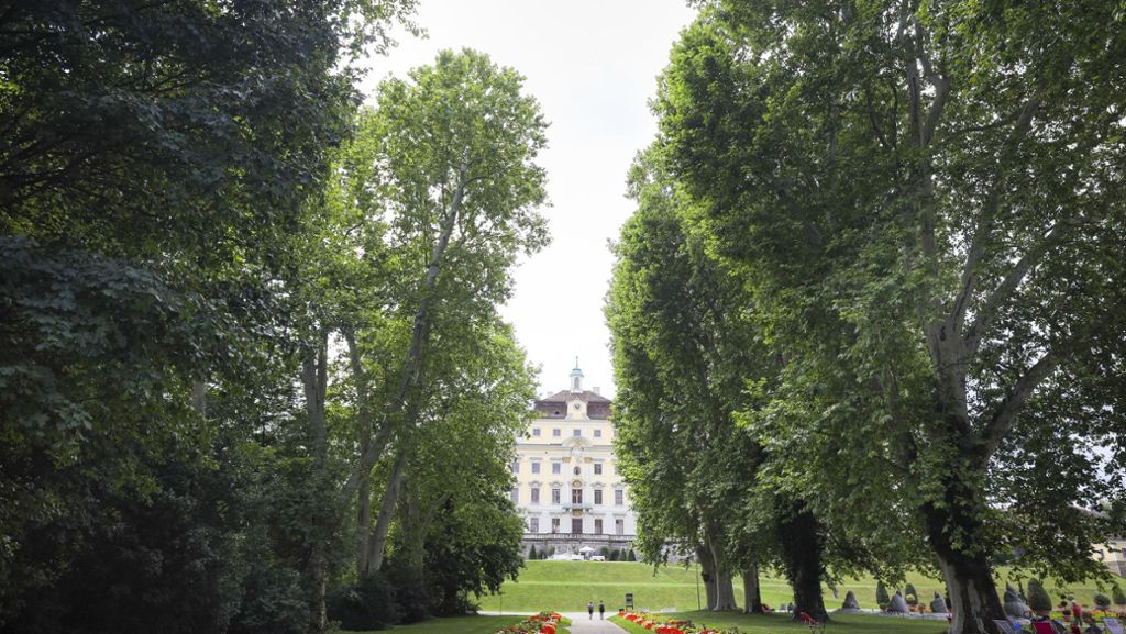 2000 Bäume in Ludwigsburg geschädigt: Das Waldsterben 2.0 hat begonnen