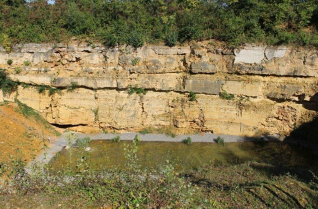 Im einstigen Steinbruch ist ein rund 350 Quadratmeter großer, durch Regenwasser gespeister Teich entstanden.