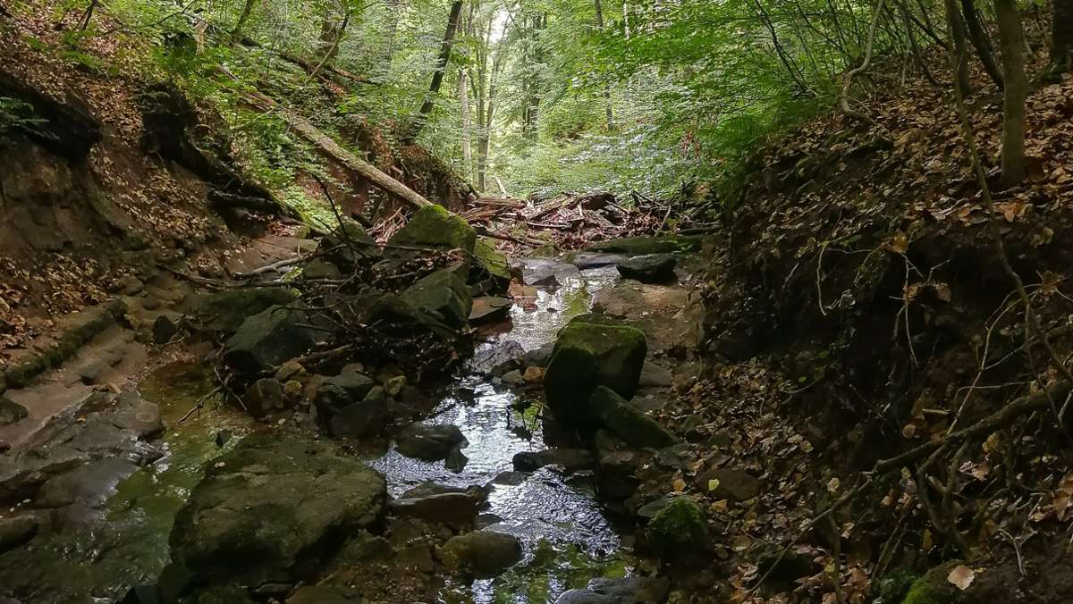 Schelmenklinge in Aichwald: Verborgenes Naturdenkmal in Aichelberg