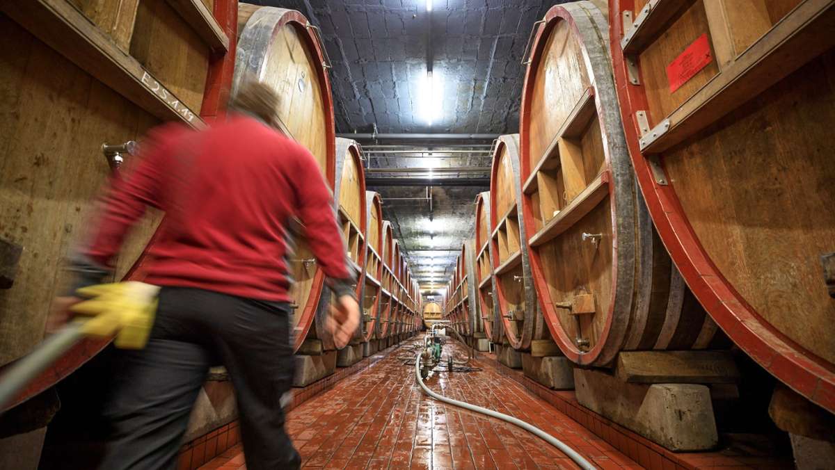 Weinbau im Remstal: Volle Keller, vage Zukunft