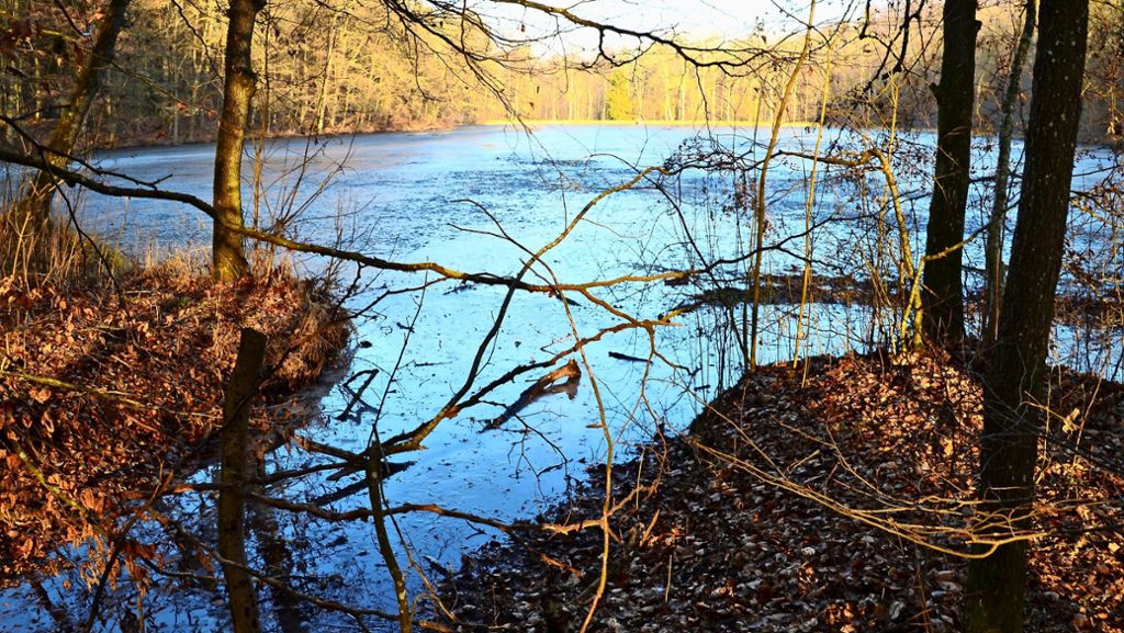 Katzenbachsee und  Steinbachsee in Stuttgart-Vaihingen: Der Verkauf zweier Seen treibt die Leute um