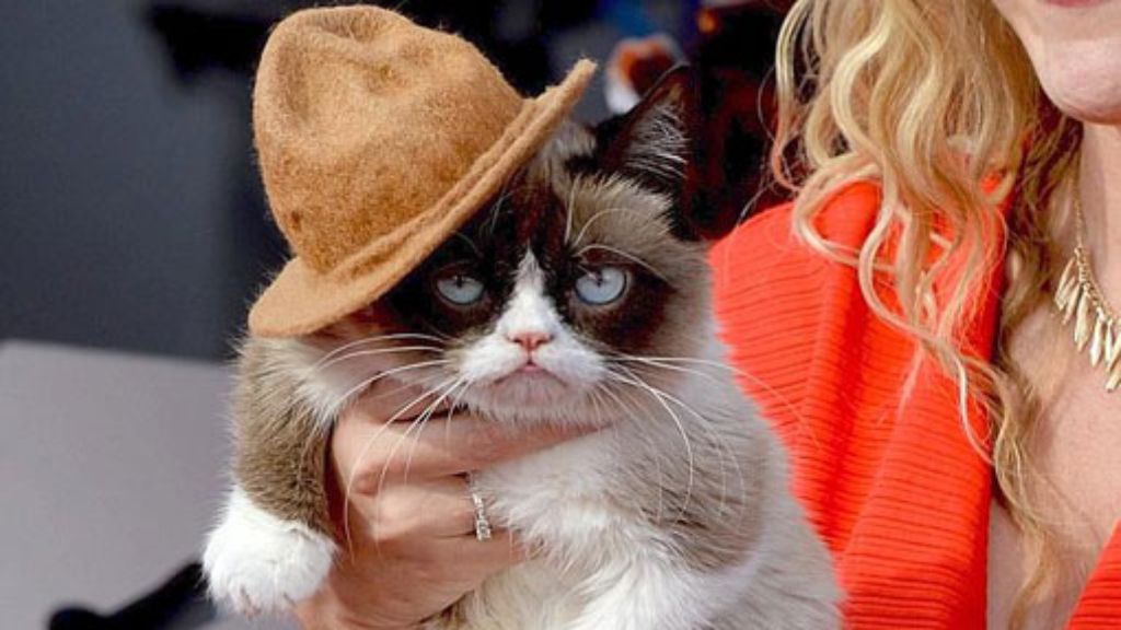 MTV Movie Awards: Strahlende Stars und eine mürrische Katze