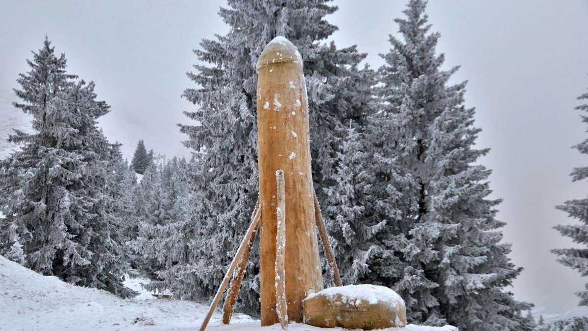 Phallus-Skulptur in den Alpen: Neuer Holzpenis im Allgäu steht