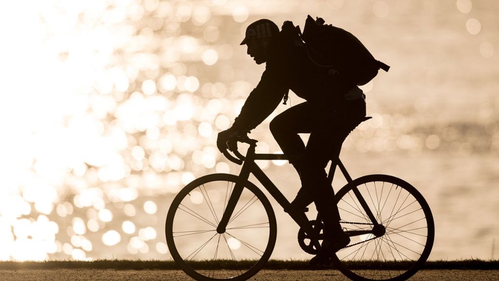 Rote Ampel, Promillegrenze, Handy am Ohr: Diese Fahrrad-Regeln kennt kaum jemand