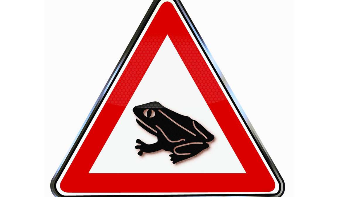Weiher in Stuttgart-Uhlbach: Kritik an  weiteren Schranken zum Schutz der Kröten