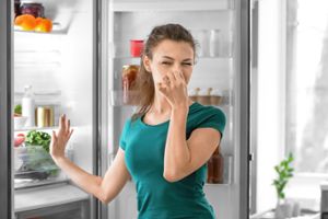 Geruch aus Kühlschrank entfernen – 11 Tipps 
