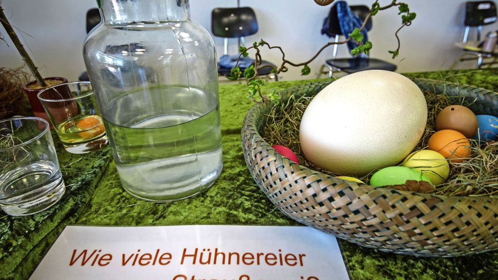 Wilhelma in Stuttgart: Der andere Blick auf das Ei