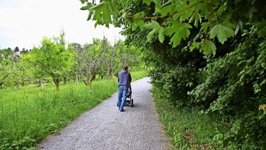 Kressart-Streuobstwiese in Stuttgart-Sonnenberg: Die dauerhafte Asphaltierung ist nicht genehmigt