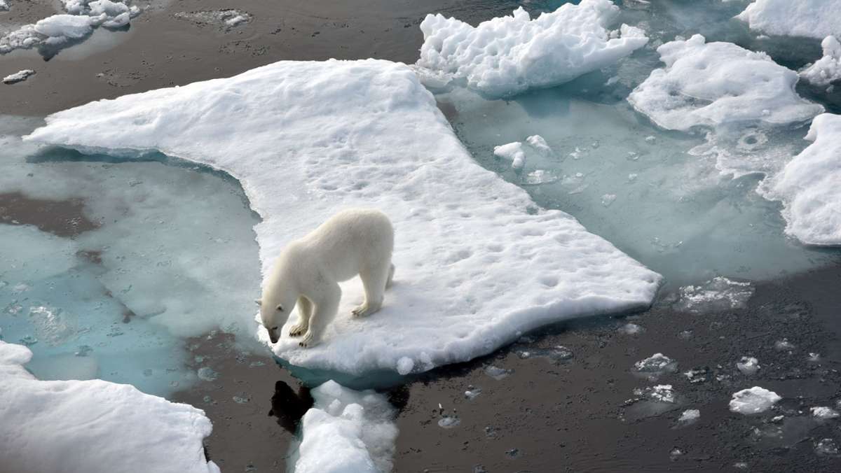 Klimawandel in der Arktis: Die Arktis schmilzt dahin