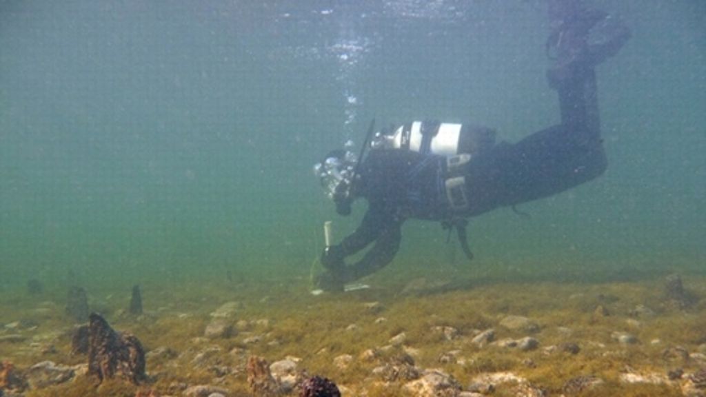 Archäologie im Bodensee: Das Weltkulturerbe unter Wasser