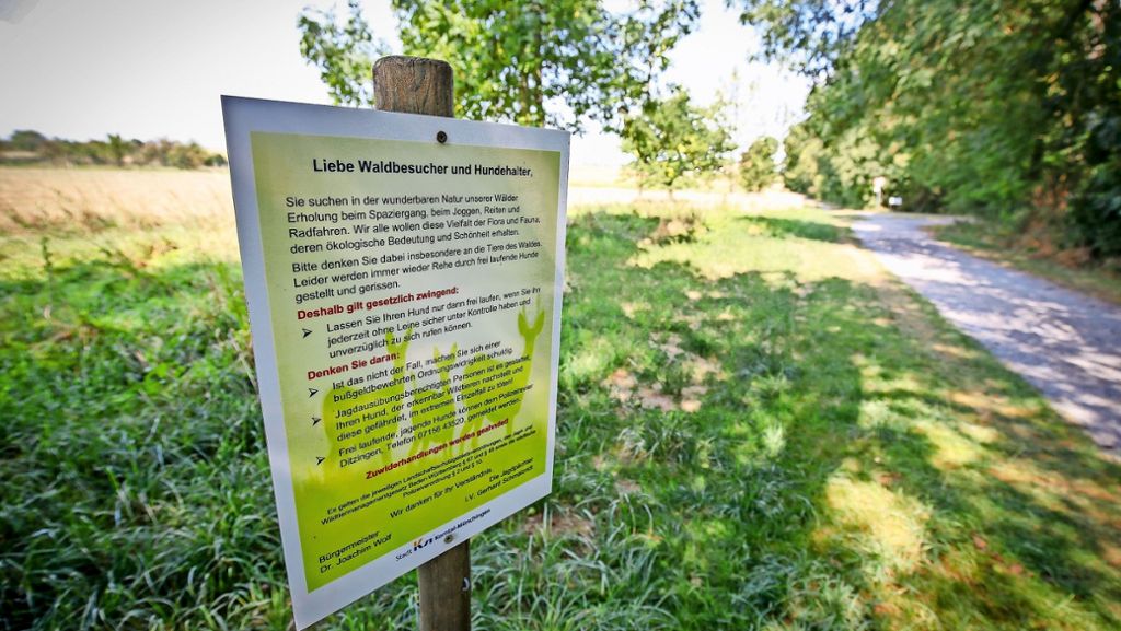 Wälder in Korntal-Münchingen: Hinweisschilder mahnen Hundebesitzer