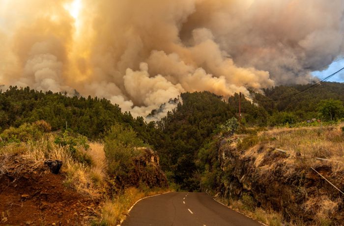 Wo brennt es auf La Palma?