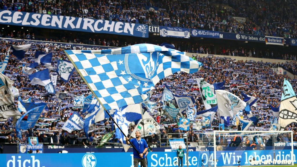 FC Schalke 04: So kurios reagiert ein Fan auf den Heiratsantrag seiner Partnerin