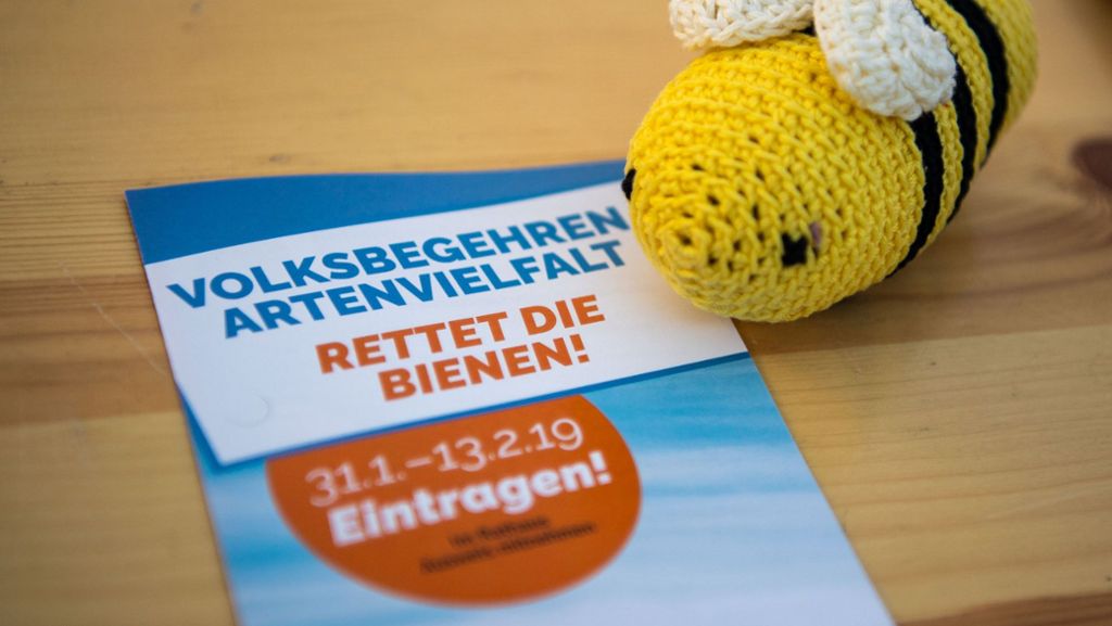 Riesige Beteiligung: Bayerischer Rekord beim Bienen-Volksbegehren