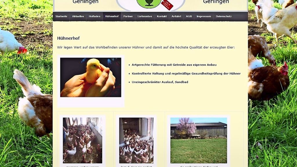 Tierschutz in Gerlingen: Verweste Hühner und die Folgen