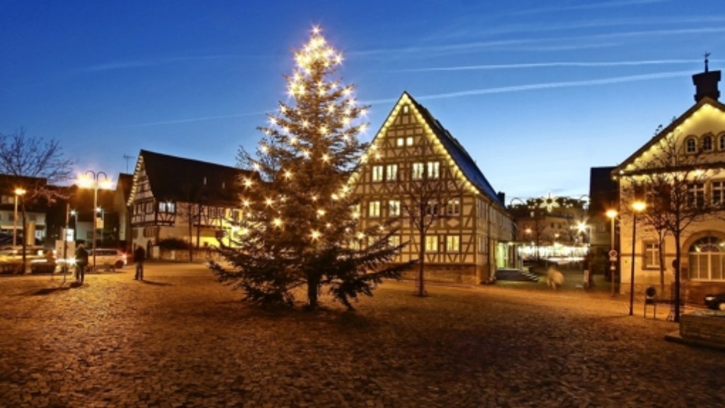 Weihnachtsbäume  im Strohgäu: Am Lebensende ein  Repräsentierstück