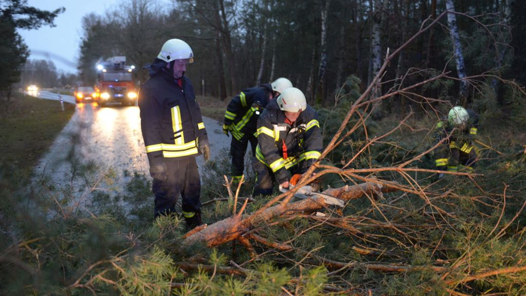 Orkan Friederike: Acht Menschen kommen durch Sturm ums Leben