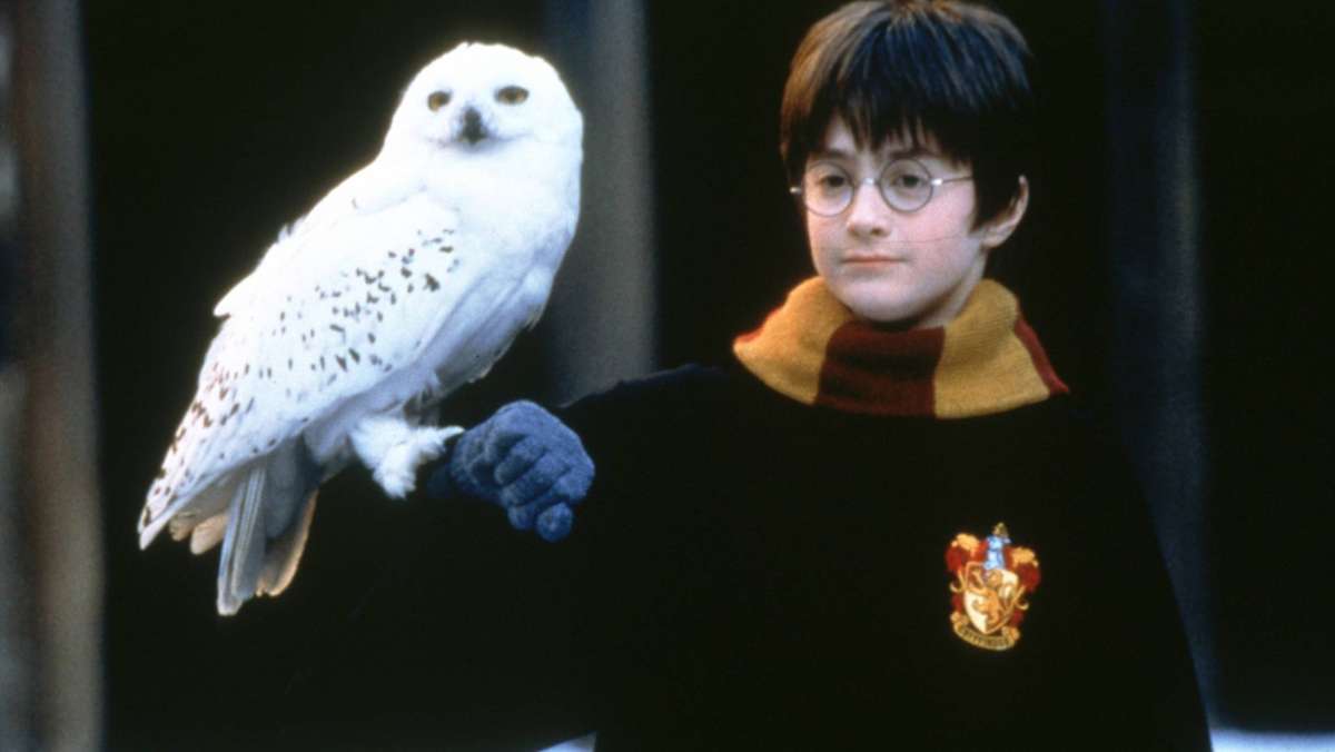 Streamingdienst HBO: „Harry Potter“ soll als  TV-Serie kommen