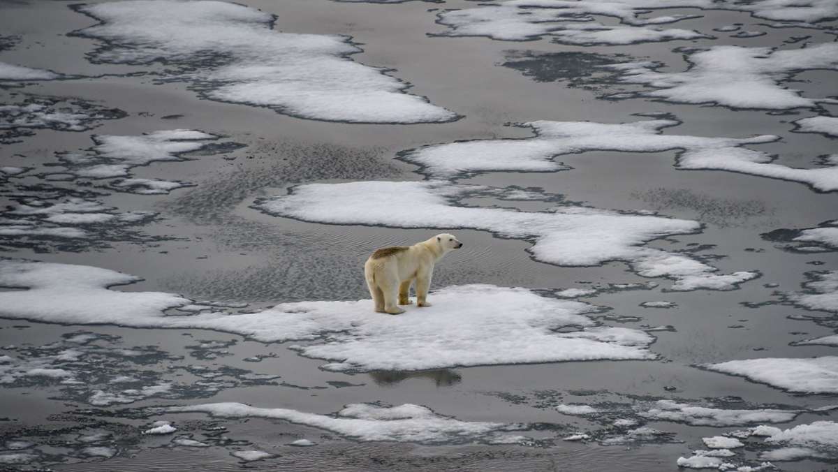 IPCC: Weltklimarat legt am Montag Abschlussbericht  vor