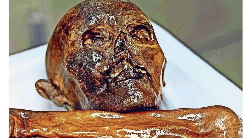  Vor 25 Jahren wurde Ötzi in einem Alpengletscher entdeckt. Die Mumie aus dem Eis hat den Steinzeitforschern viele neue Einblicke ermöglicht. Ötzi war nicht nur ein wohlhabender Mann, er litt auch schon unter Zivilisationskrankheiten wie Arteriosklerose. 