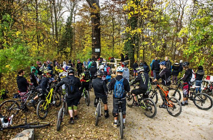 Mountainbiker im Stuttgarter Wald: Illegale Trails sorgen für Ärger