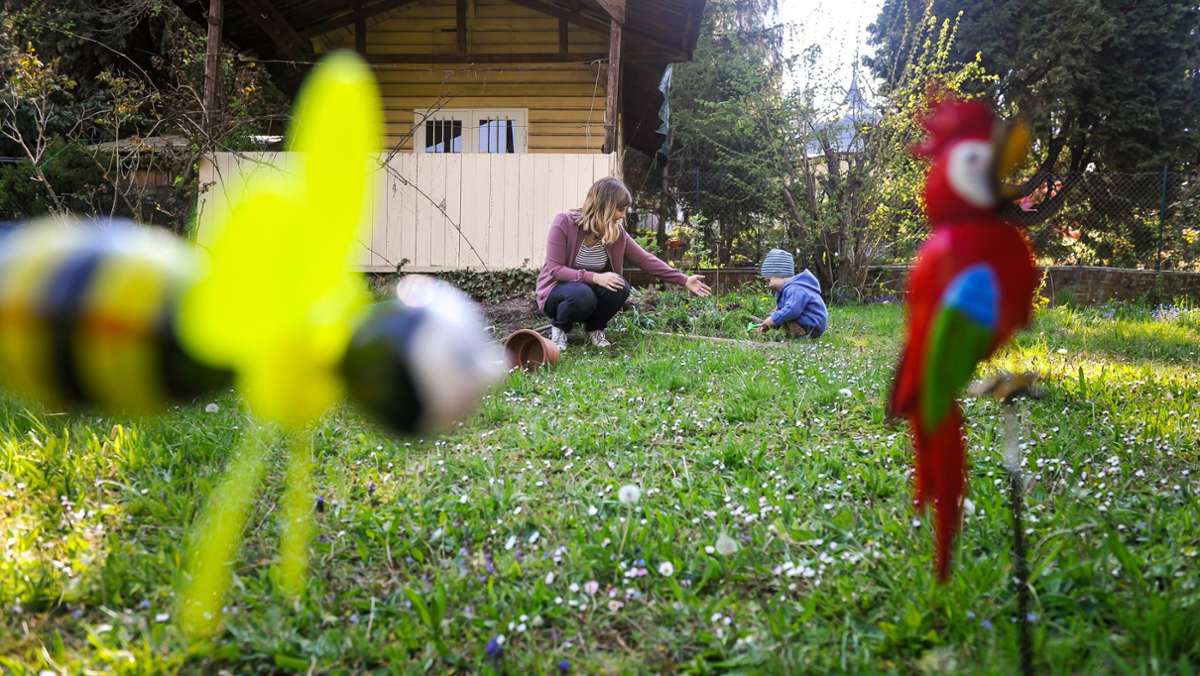 Ansturm in Stuttgart wegen Corona: Stadt schließt Warteliste – 4000 wollen einen Garten