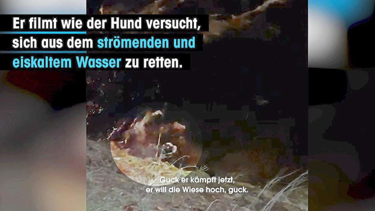 Tierquäler von Bad Wildbad: Behörden verhängen lebenslanges Tierhalteverbot