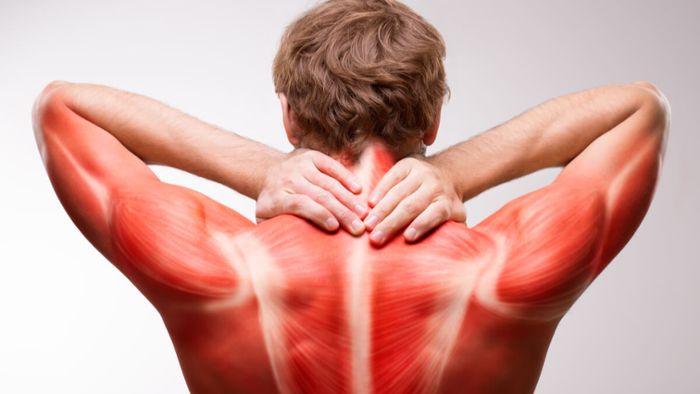 Erfahren Sie alles über die Ursachen von Muskelkater, was dagegen hilft und wie Sie Muskelkater vorbeugen.