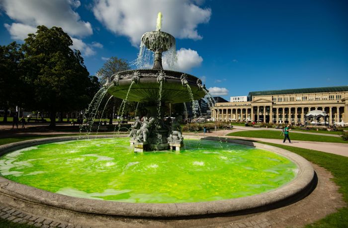 Umweltorganisation färbt Brunnen am Schlossplatz  giftgrün