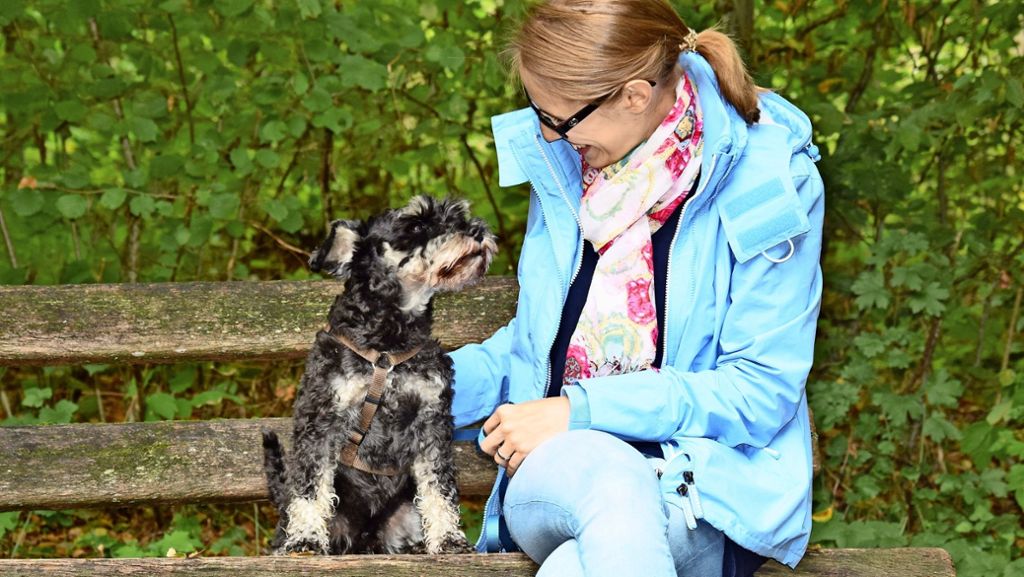 Digitaler Selbstversuch in Stuttgart: Wie Hund und Frauchen per App neue Freunde finden