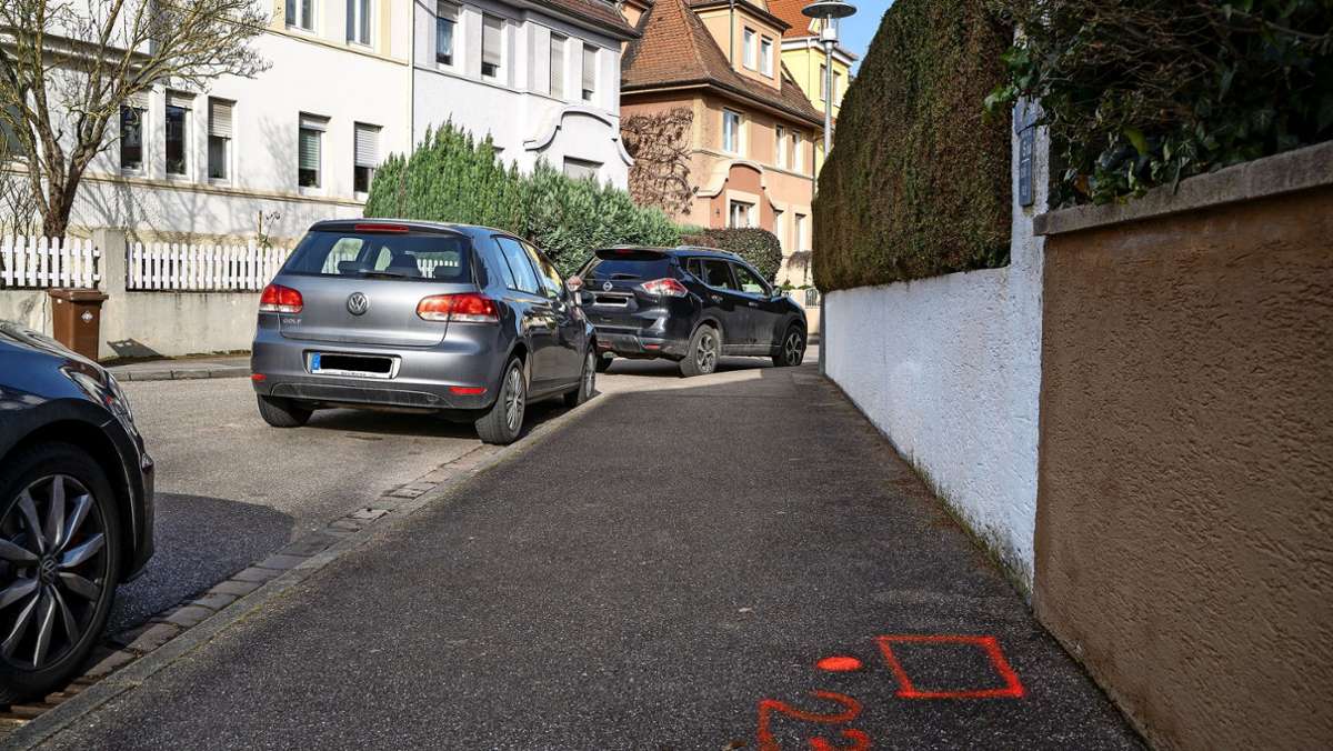 Neues Konzept in Ludwigsburg: Bürger protestieren gegen Parkuhren