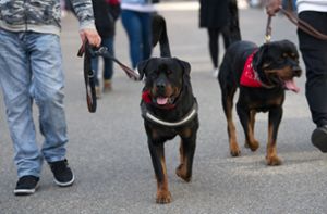 Hunderte Rottweiler-Besitzer demonstrieren in Rottweil